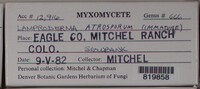 Image Associated With the Occurence